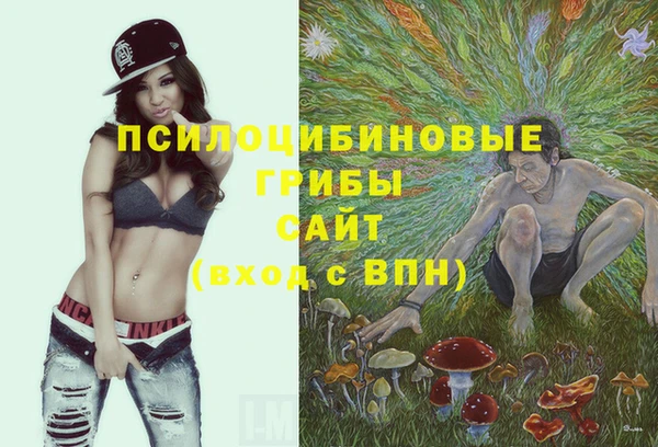 синтетический гашиш Надым