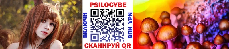 kraken Донецк Псилоцибиновые грибы прущие грибы