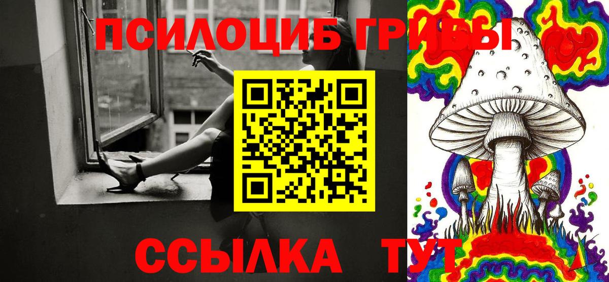 Псилоцибиновые грибы GOLDEN TEACHER  Донецк  Псилоцибиновые грибы прущие грибы 