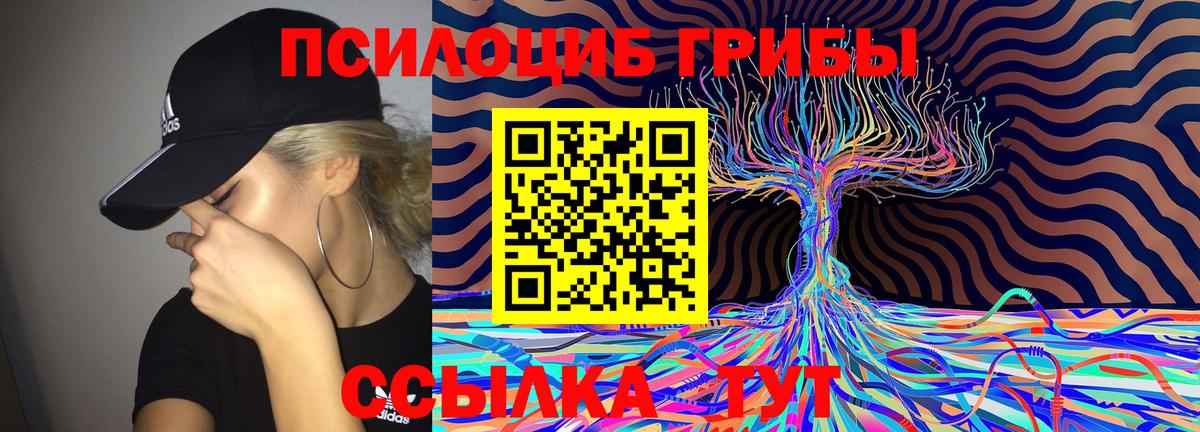 Псилоцибиновые грибы прущие грибы Донецк