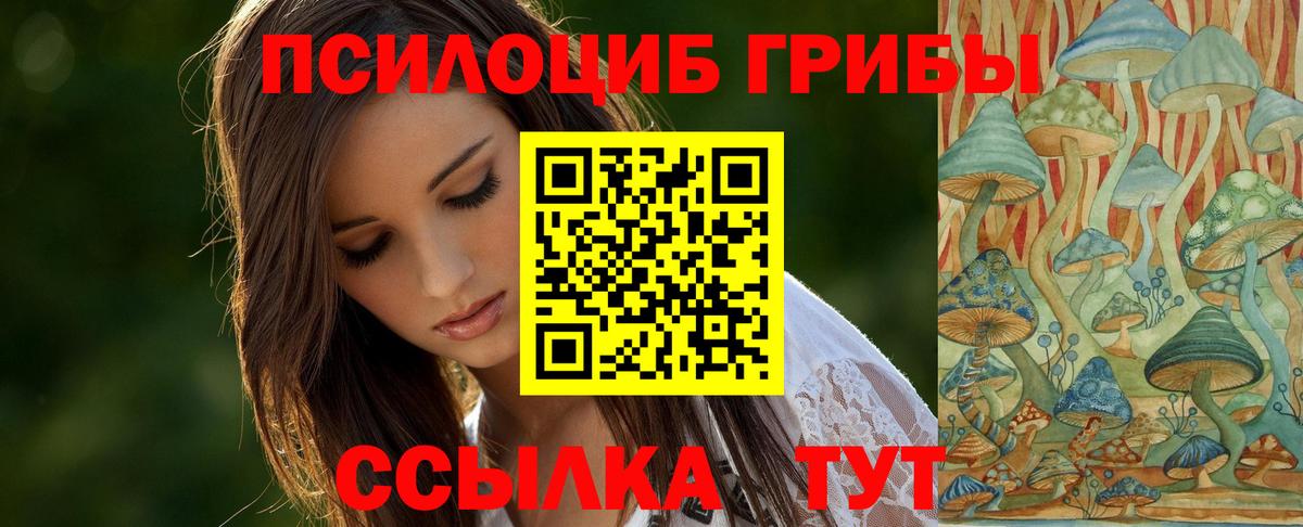 Псилоцибиновые грибы Cubensis Донецк