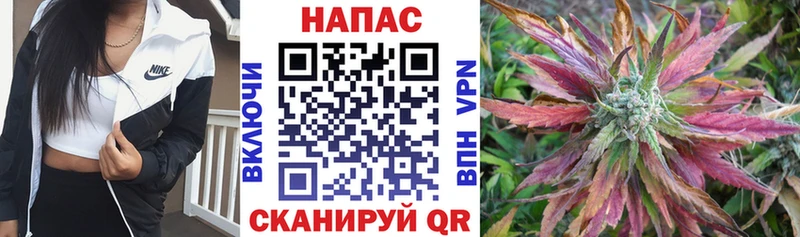 Бошки марихуана план Донецк